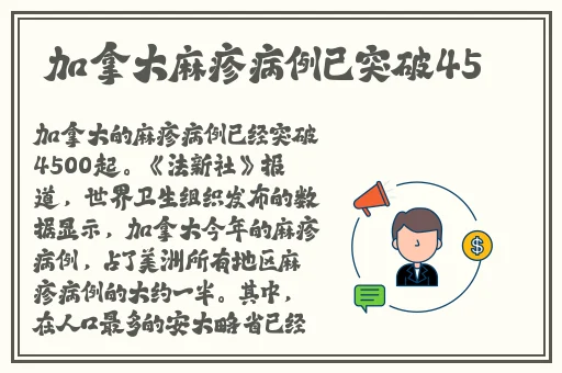 美人在线观看